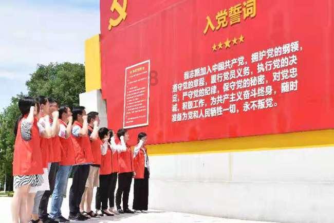 番茄追剧游戏画面