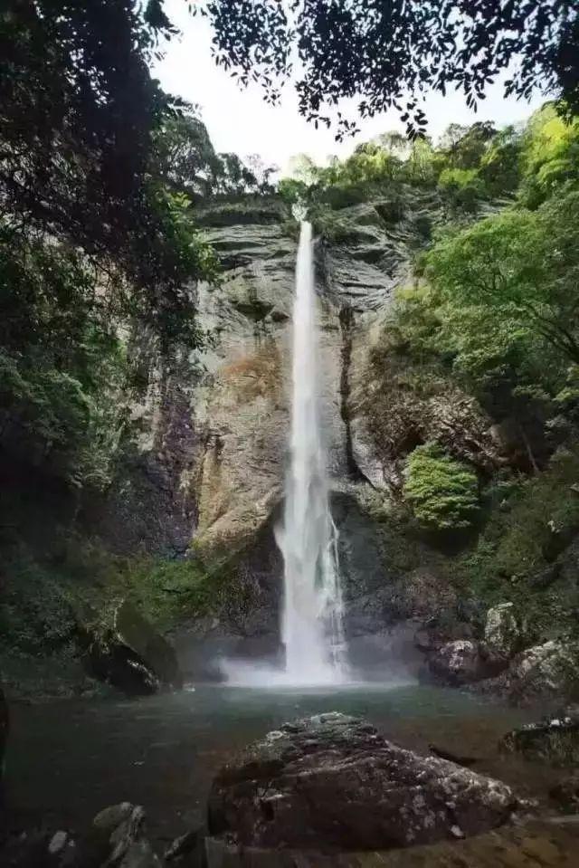 世界杯卡通足球大赛2